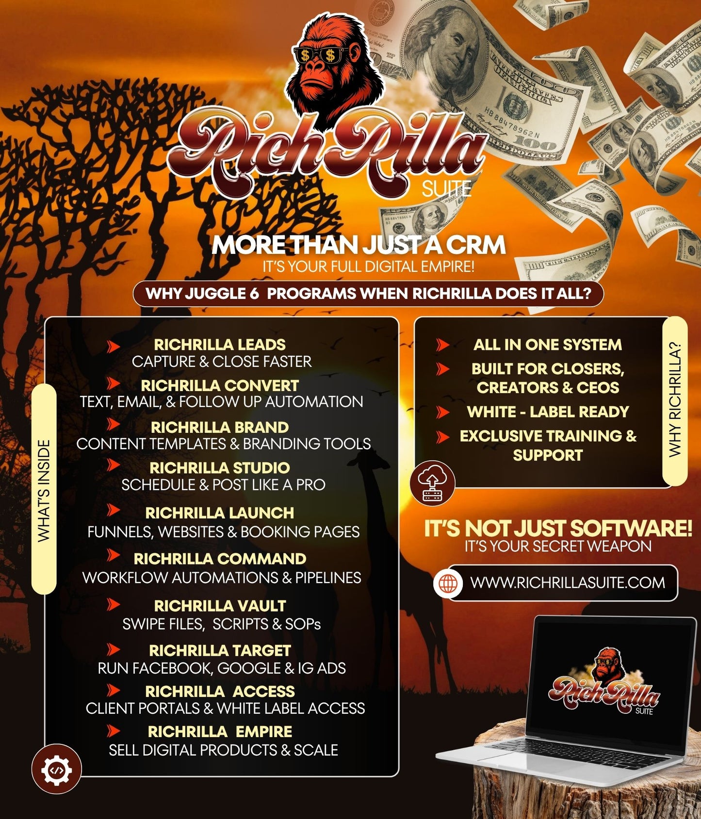 Standard Flyer Design